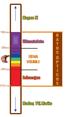 Espectro electromagn&eacute;tico