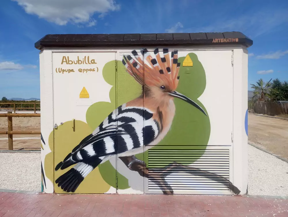 Aves del entorno